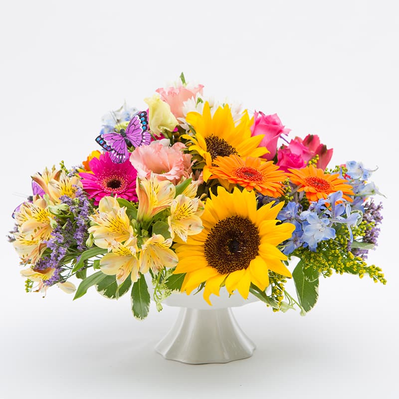 Flower bouquet in a white vase with yellow, pink and blue flowers with green foliage.