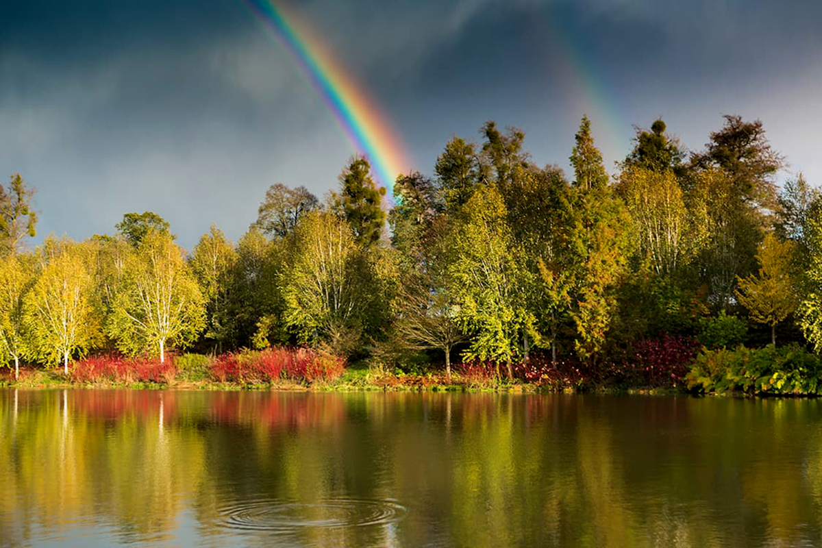  Rainbow in the sky over lake at Marks Hall.